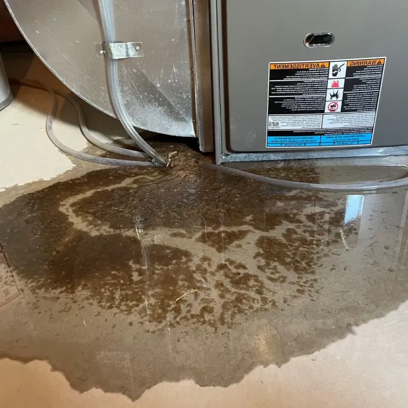 Pipe Burst and Leak Restoration in Ohioville, PA