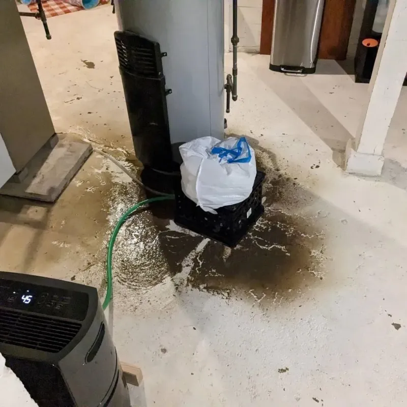 Sewage Backup Cleanup Service in Ohioville, PA